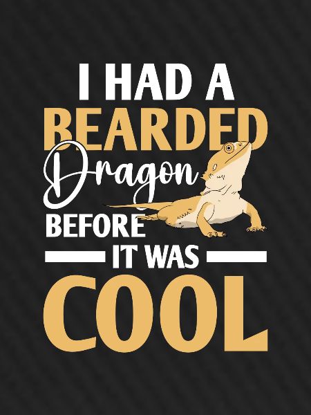 Bearded dragon