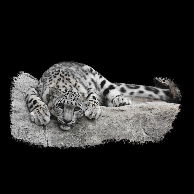 geschenke raubkatzenliebhaber, Schneeleopard Junge