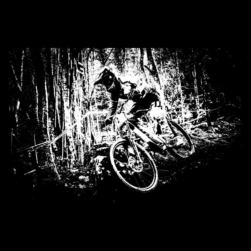 mtb downhill