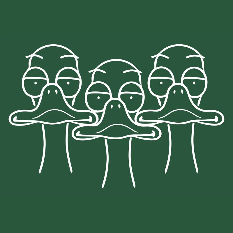 Three funny ducks