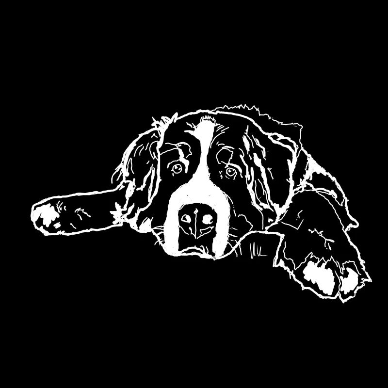 Berner Sennenhund