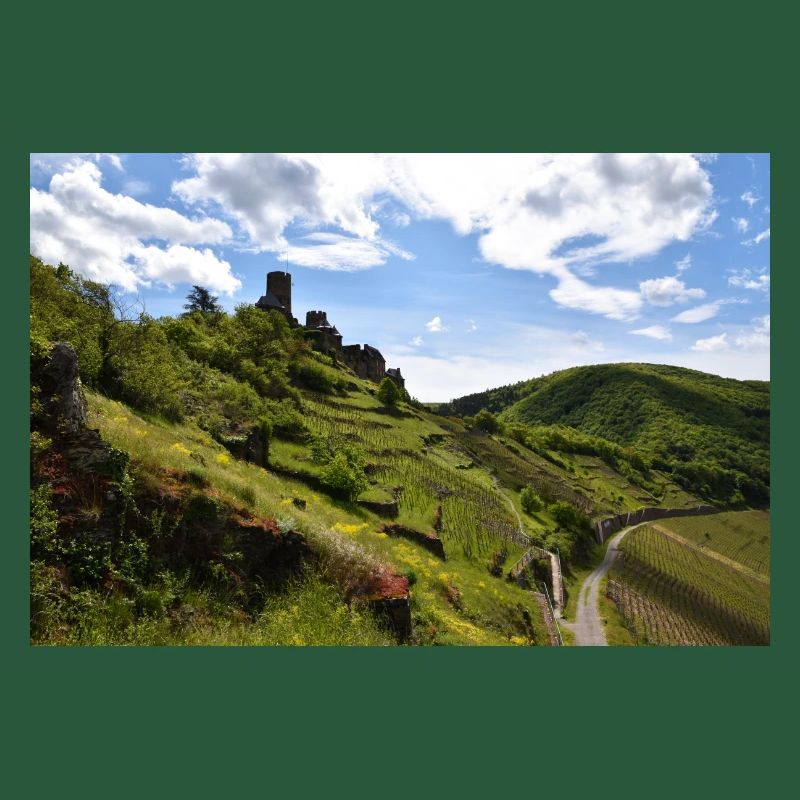 Moselle, castle, vineyard, panorama
