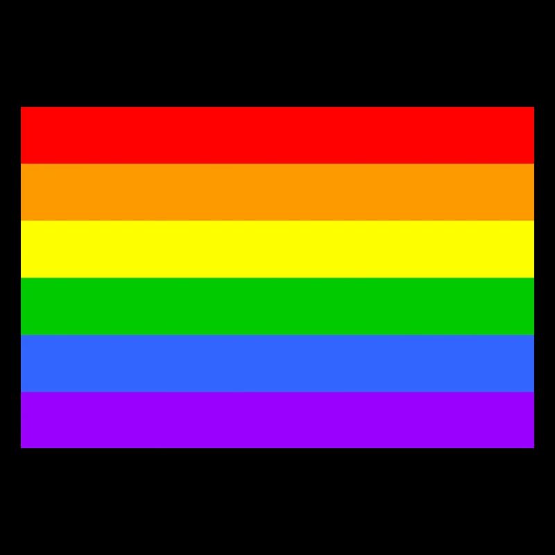 rainbowflag Schwule & Lesben