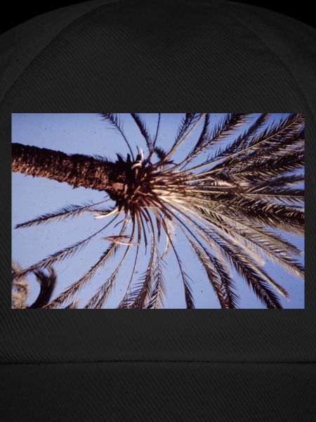 Coconut Tree