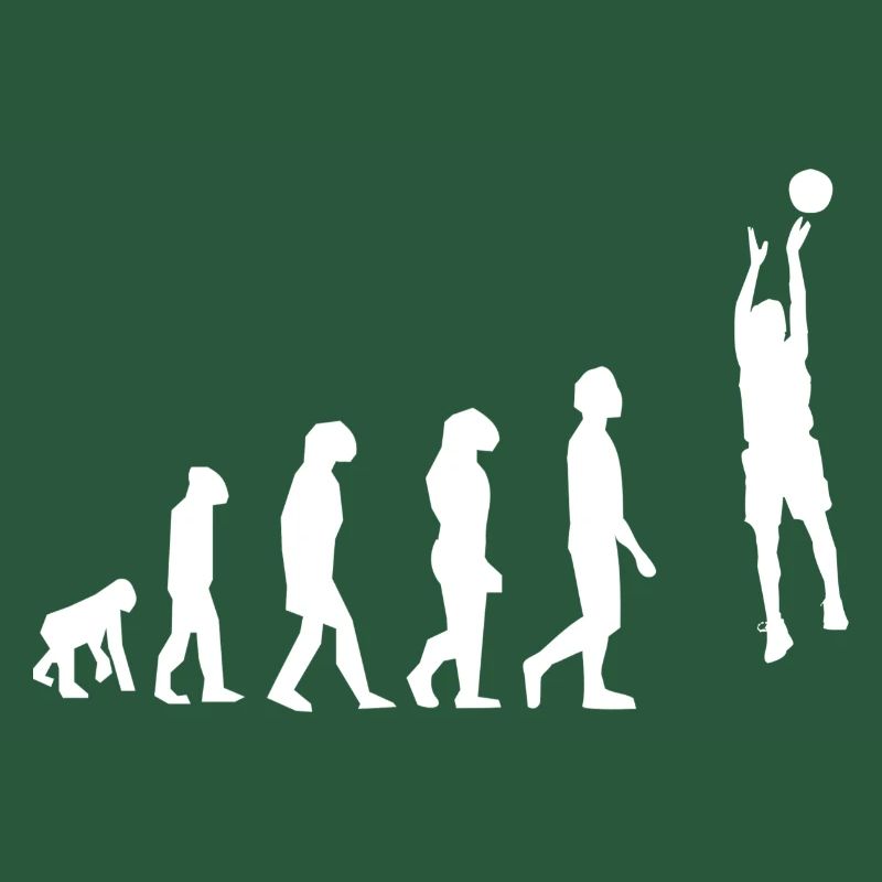 Basket évolution