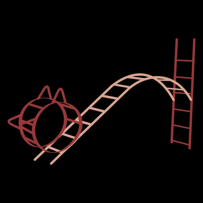 Katze Pecs