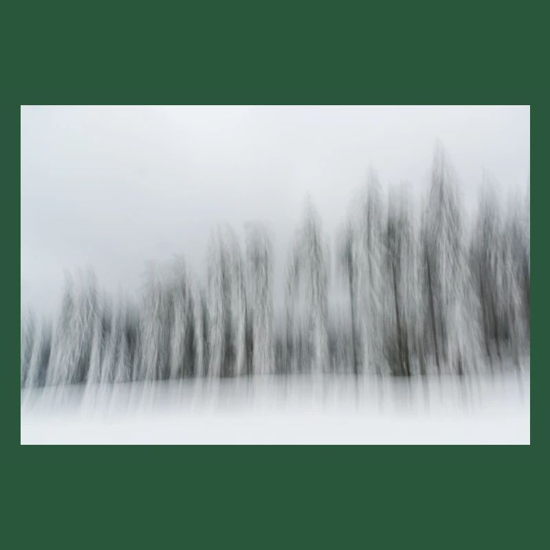Eine Reihe verschneiter Nadelbäume in einer Winterlandschaft in m