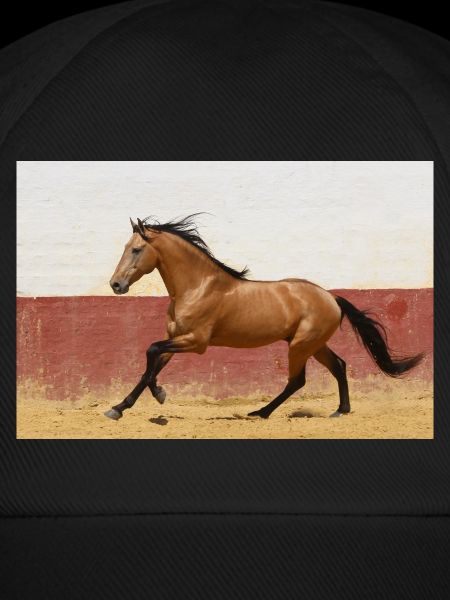 Pferd, Isibat