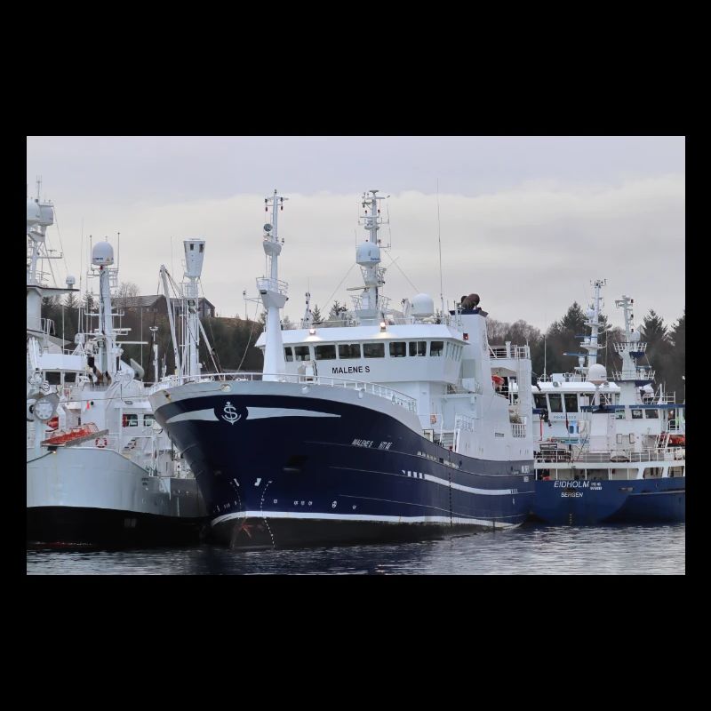H-77-AV Malene S