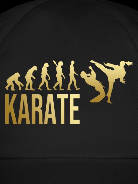 Evolution Karate