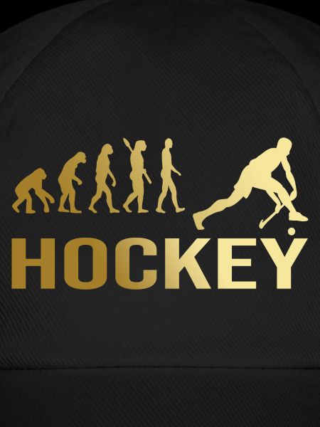 Evolution Hockey