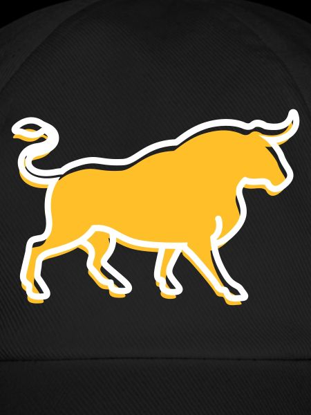 A Wild Bull