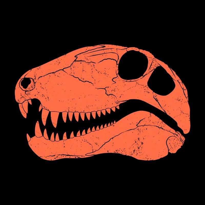 Dimetrodon Fossilschädel