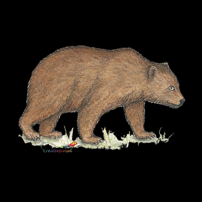 Braunbär
