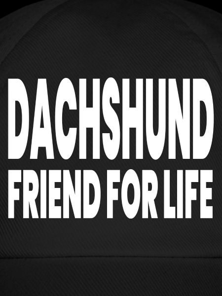 Dachshund