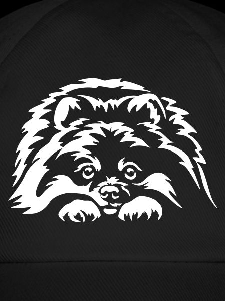 Pomeranian "Black Edition"