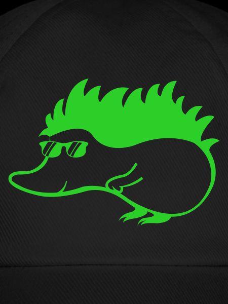Cool Hedgehog 1