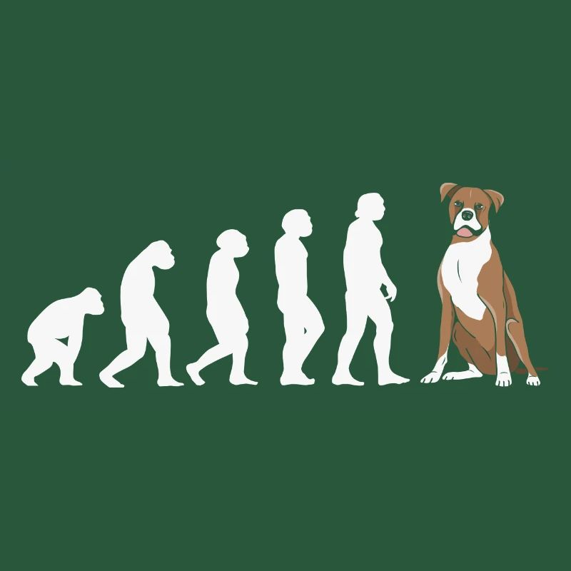 Evolution Boxer