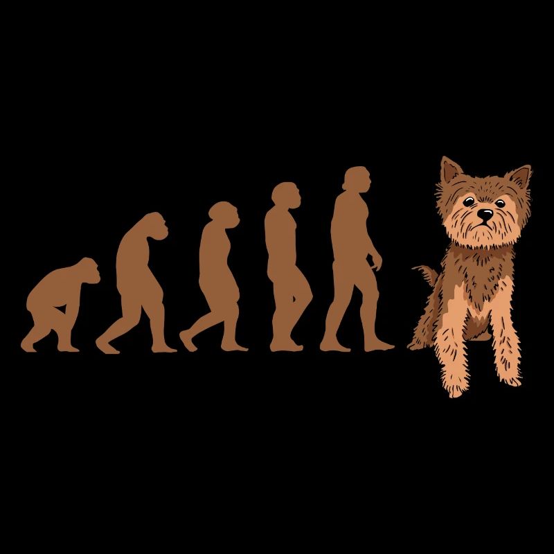 Evolution Yorkshire Terrier