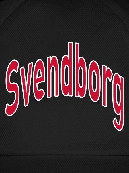 Canton de Svendborg