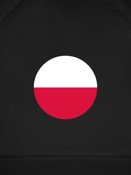 Poland Polish Flag Flag