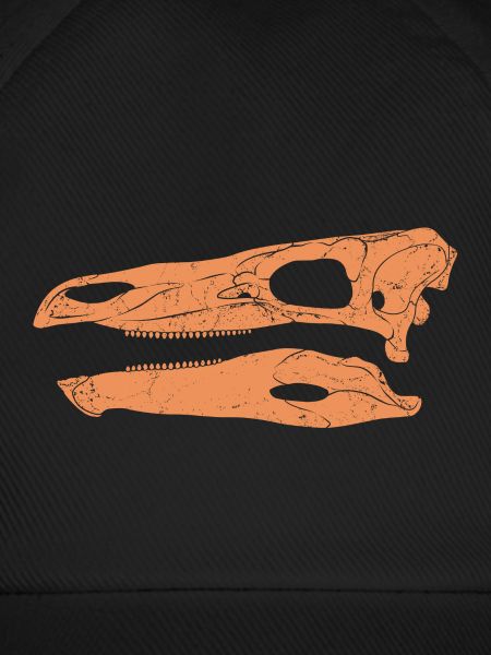 Stegosaurus Fossil Skull