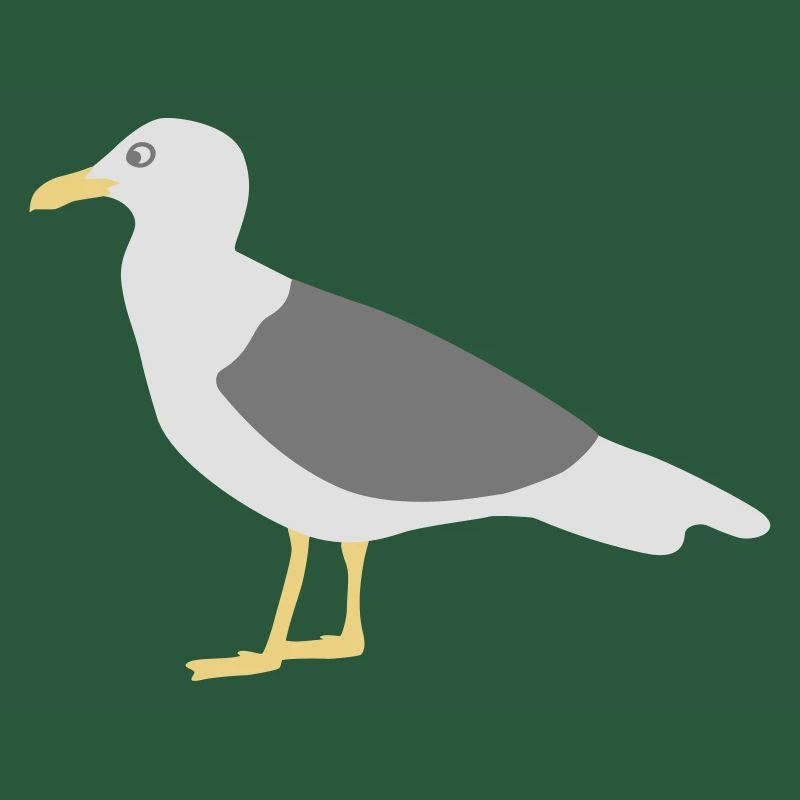 Möwe