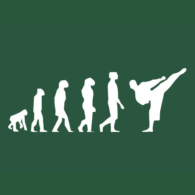 Karate evolution