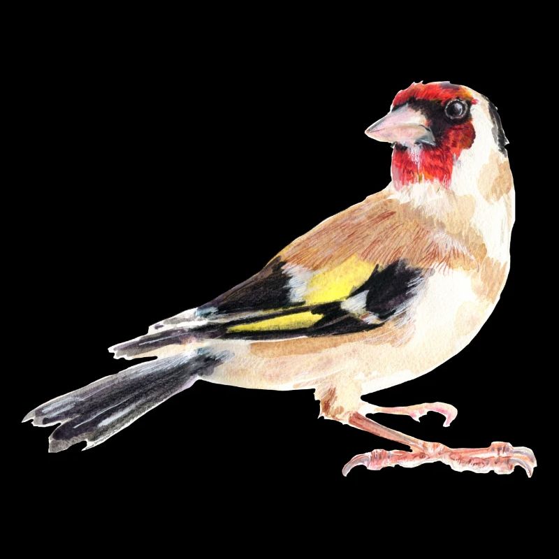 goldfinch