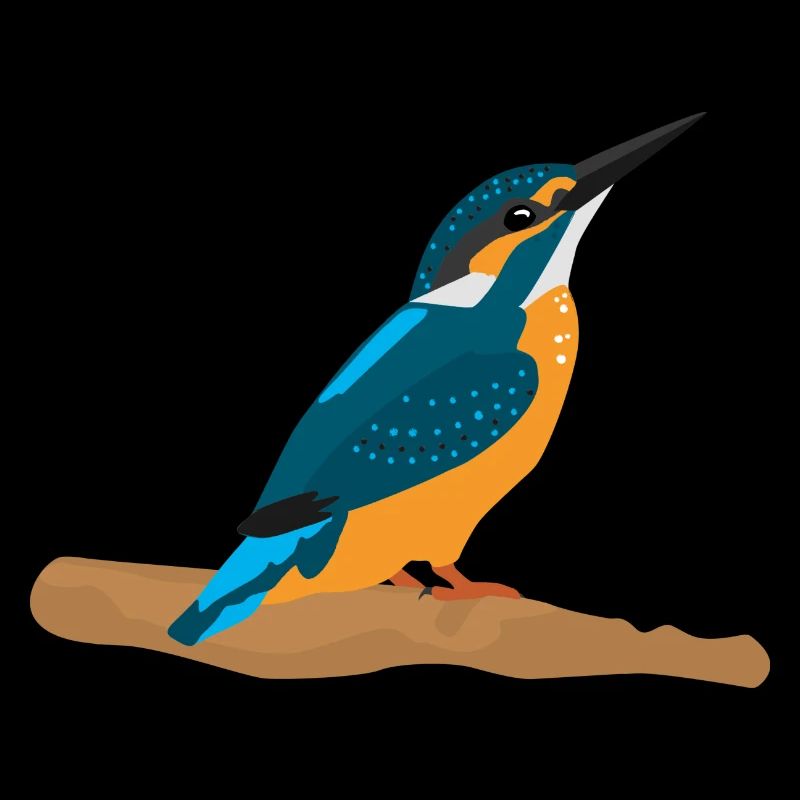 Eisvogel