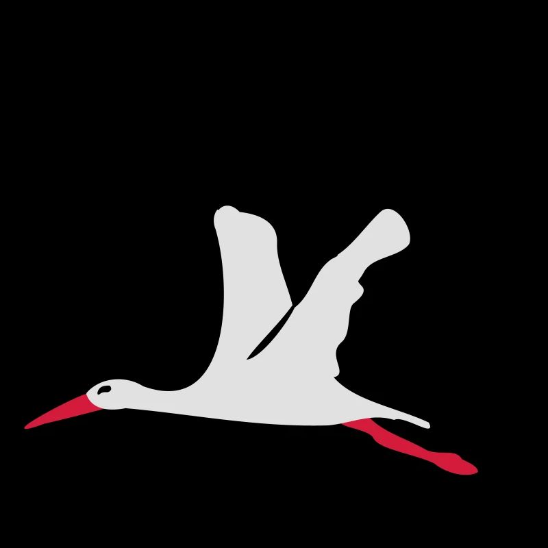 Storch