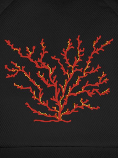 corail