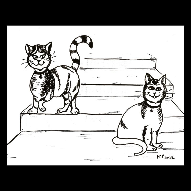 Amis chats