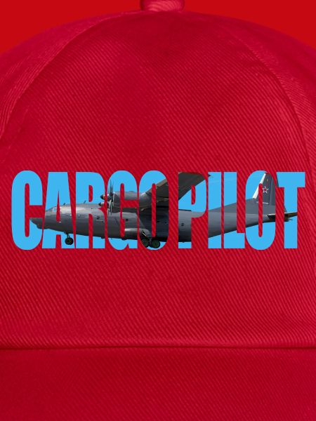 Cargo pilot An-12