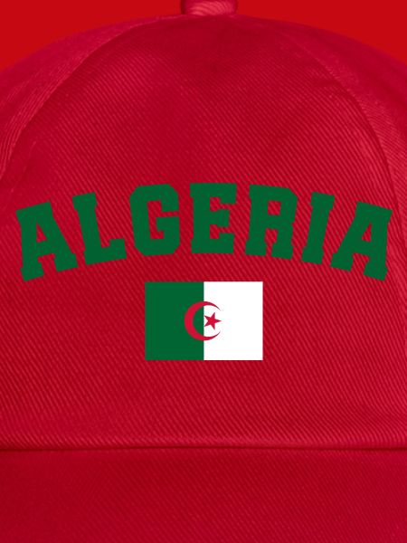 Algerien Algerien Flagge Algerien
