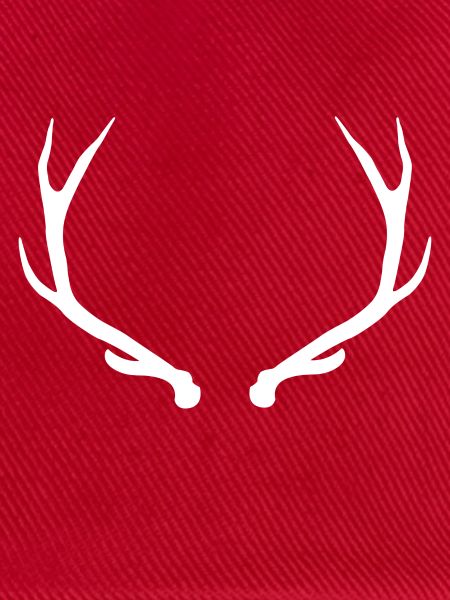 Hirsch - Hirschgeweih