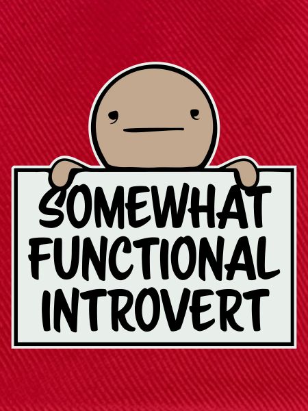 Somewhat Functional Introvert Spruch Logo Text