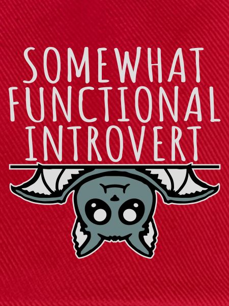 Somewhat Functional Introvert Süße Fledermaus