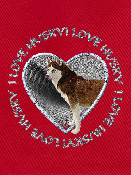 Husky im Herzen Liebe