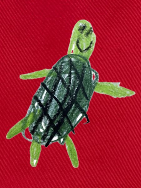 Schildkröte Wachsmalstift