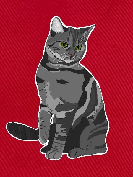 Graue Katze