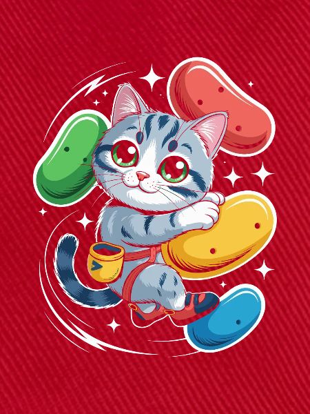 Boulder Katze