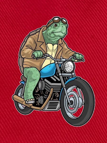 Schildkröte Motorrad