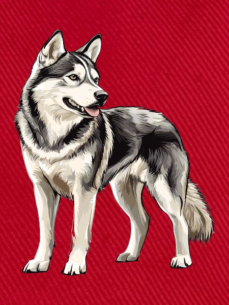 Husky Porträt