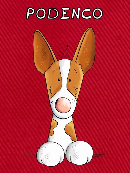 Abenteuerlustiger Podenco