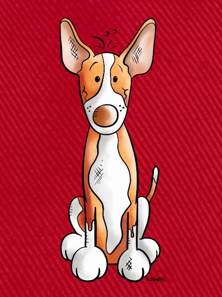 Süßer Podenco