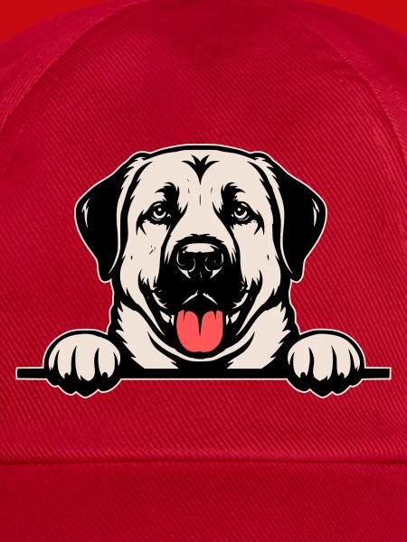 Kangal Namensschild farbig