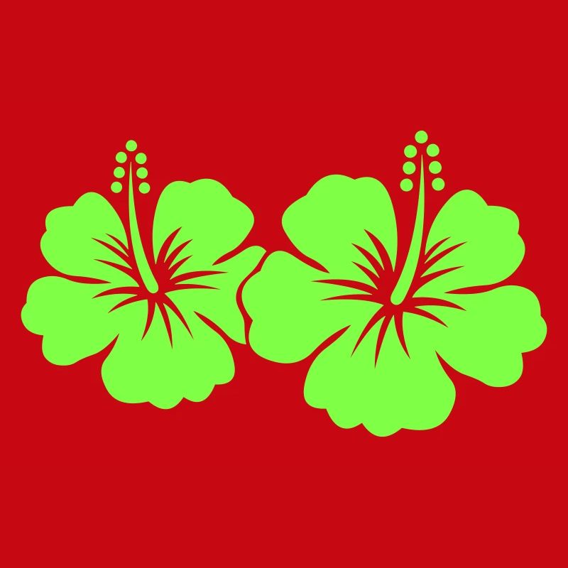 Fleur d’hibiscus