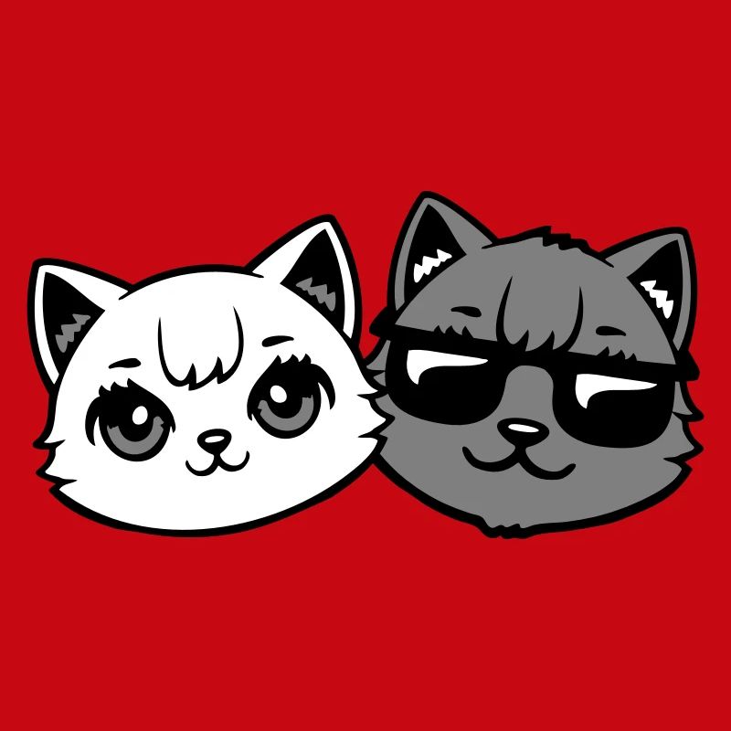 chatons mignons cool couple mâle chats noirs et blancs