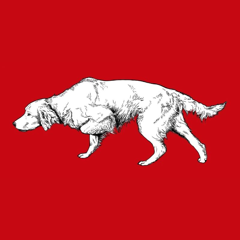 Setter above